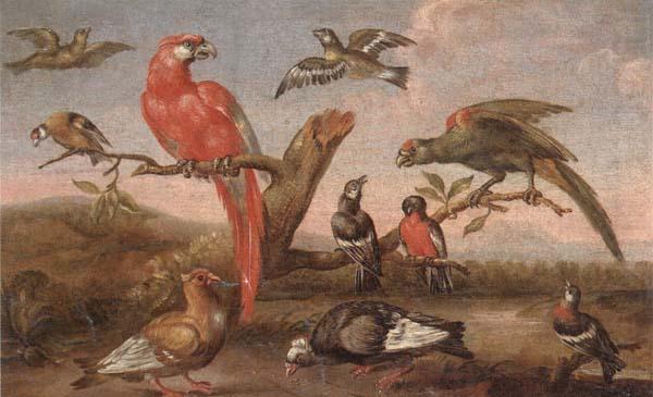 A river landscape with parrots and other birds, unknow artist